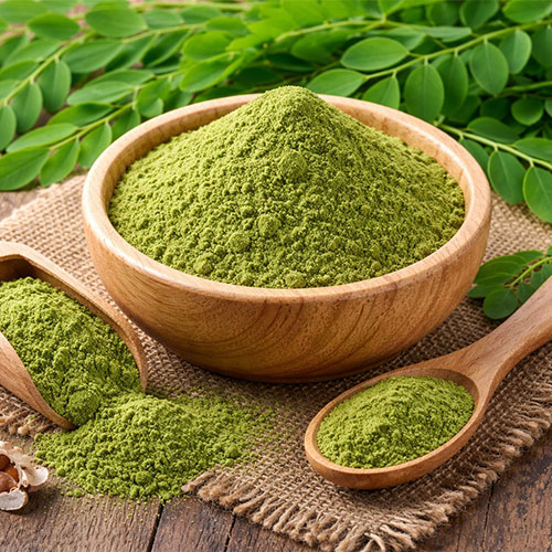 Moringa Powder Manufacturers in Maharashtra