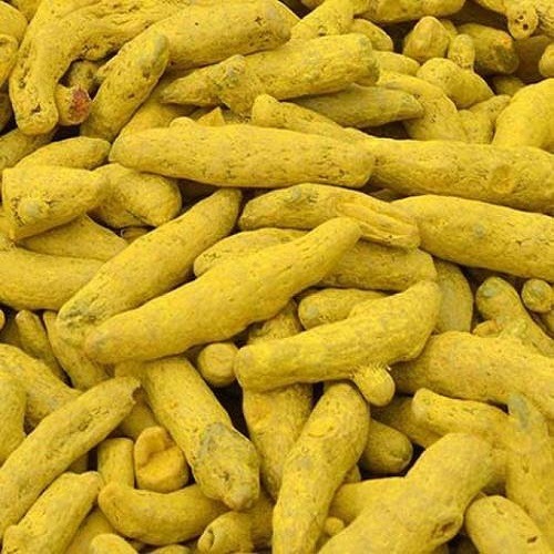 Turmeric Fingers - Erode Manufacturers in Maharashtra